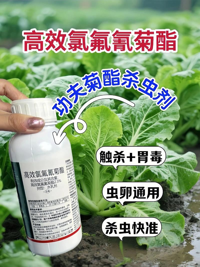 朝阳代生中心:农药对供卵代生妈妈的危害